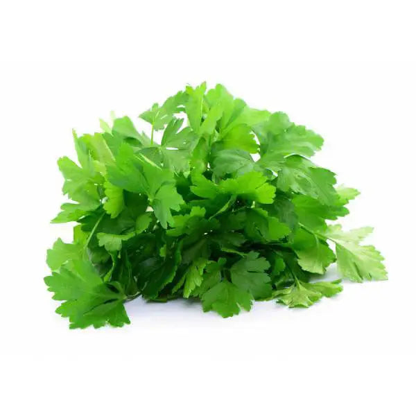 Giganta D'Italia Parsley Seeds | Piccolo