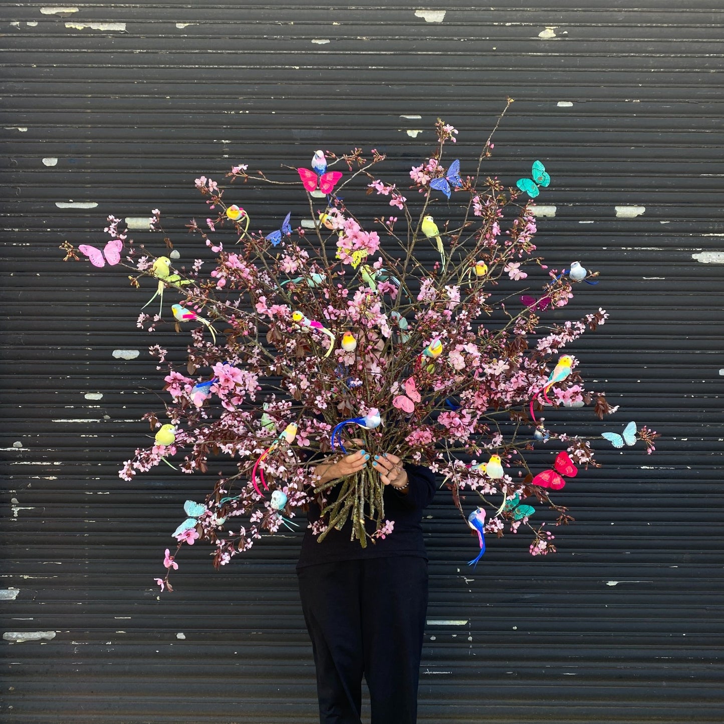 Colourful bird and butterfly clip on decorations on a big display of spring cherry blossom.