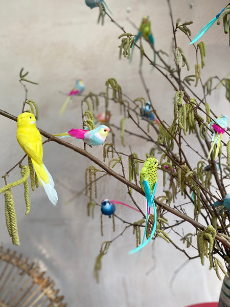 A Pair of Budgie feather Bird Clip Decorations