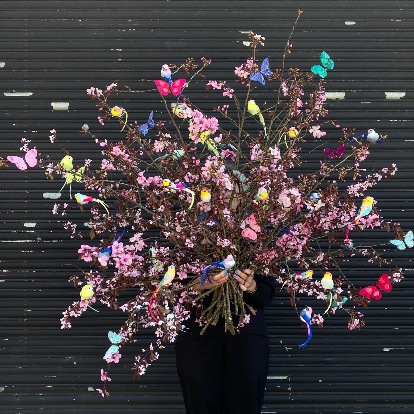 Clip on Father Bird and Butterfly Decorations on cherry blossom.