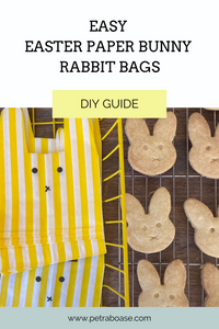 Easy Easter Bunny Bags - DIY Guide