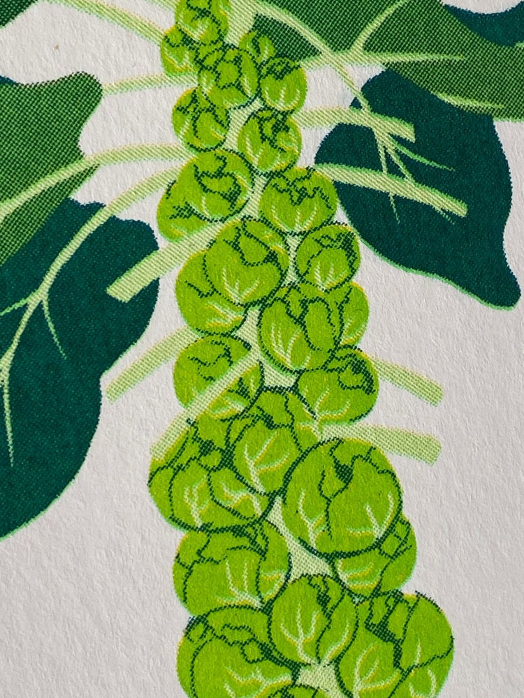 Detail of the brussell sprout greeting card.