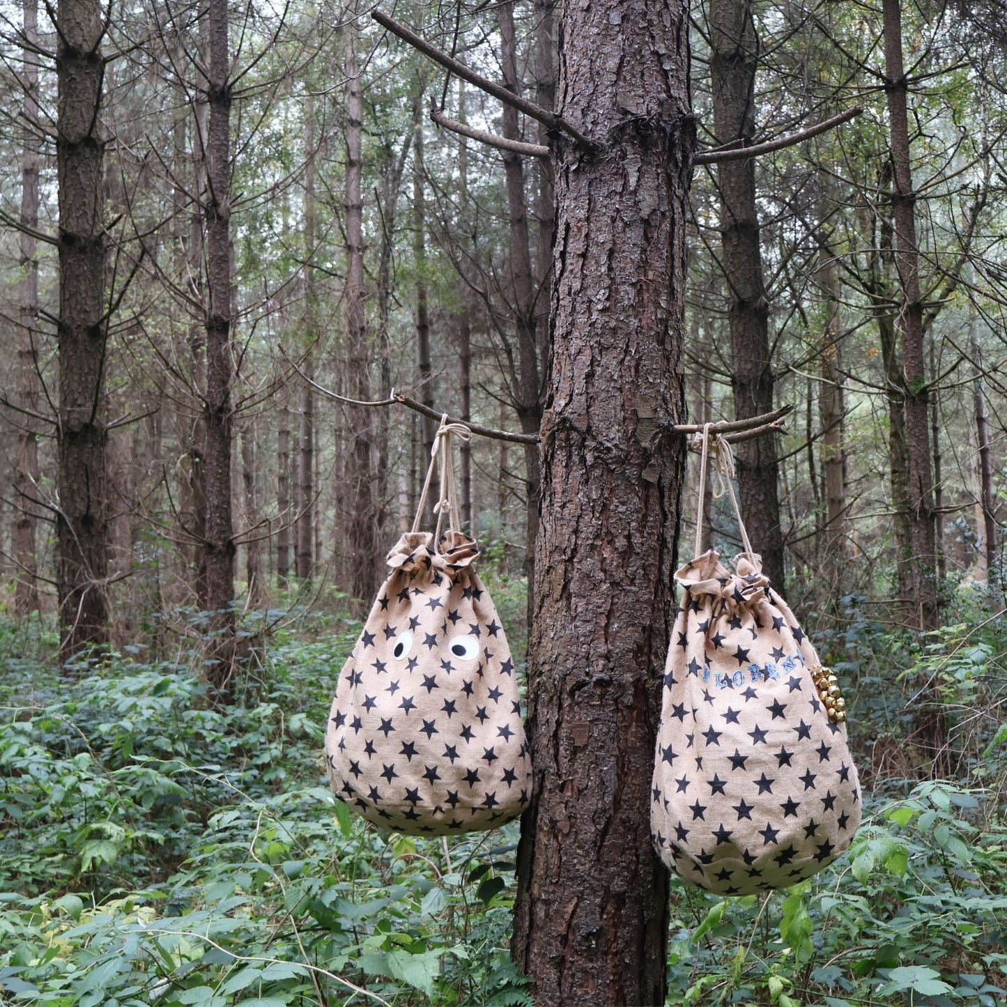 Christmas Star Print Sack