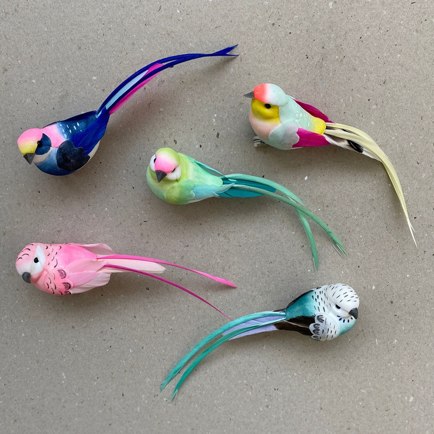 Set of 5 Colourful Feather Bird Clip Decorations