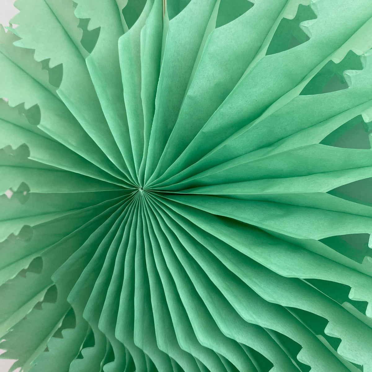 Paper Fan - Mint