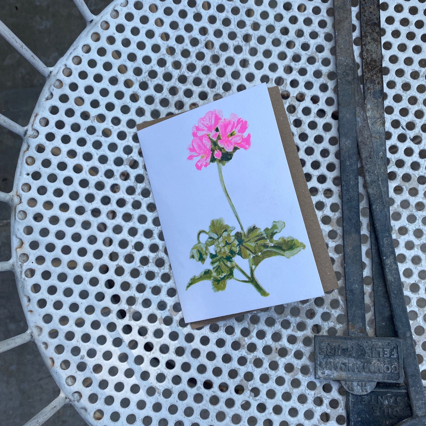 Pink Geranium Single Bloom Floral Greeting Card