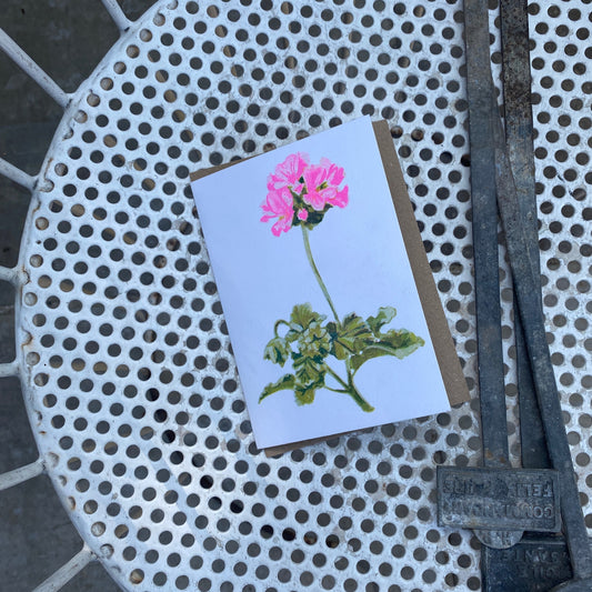 Pink Geranium Single Bloom Floral Greeting Card