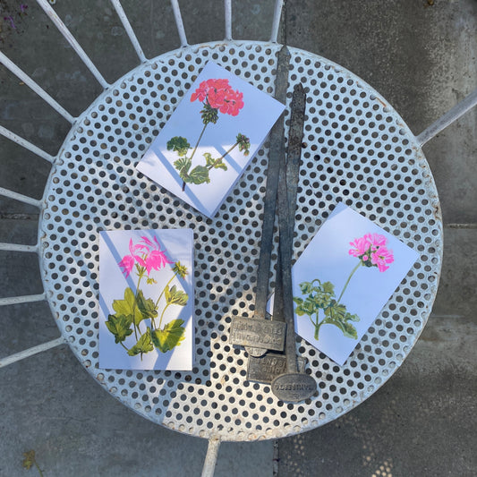 Set of Three Geranium Floral Greeting Cards