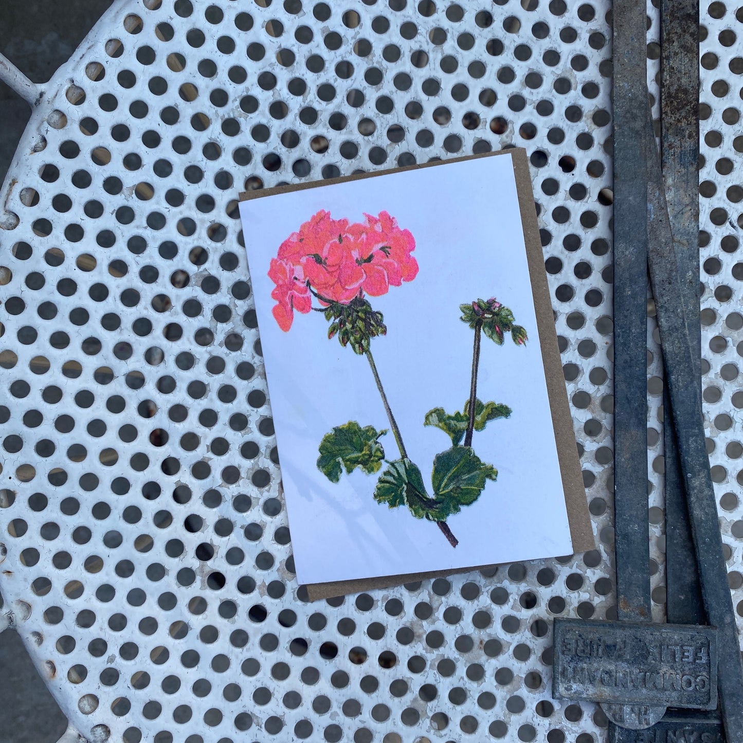 Red Geranium Floral Greeting Card