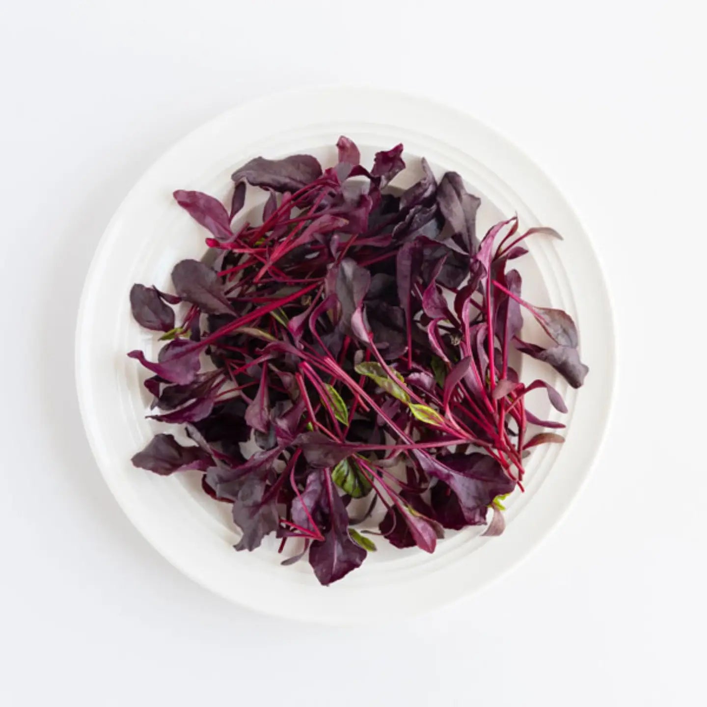 Bulls Blood Beetroot Seeds | Piccolo