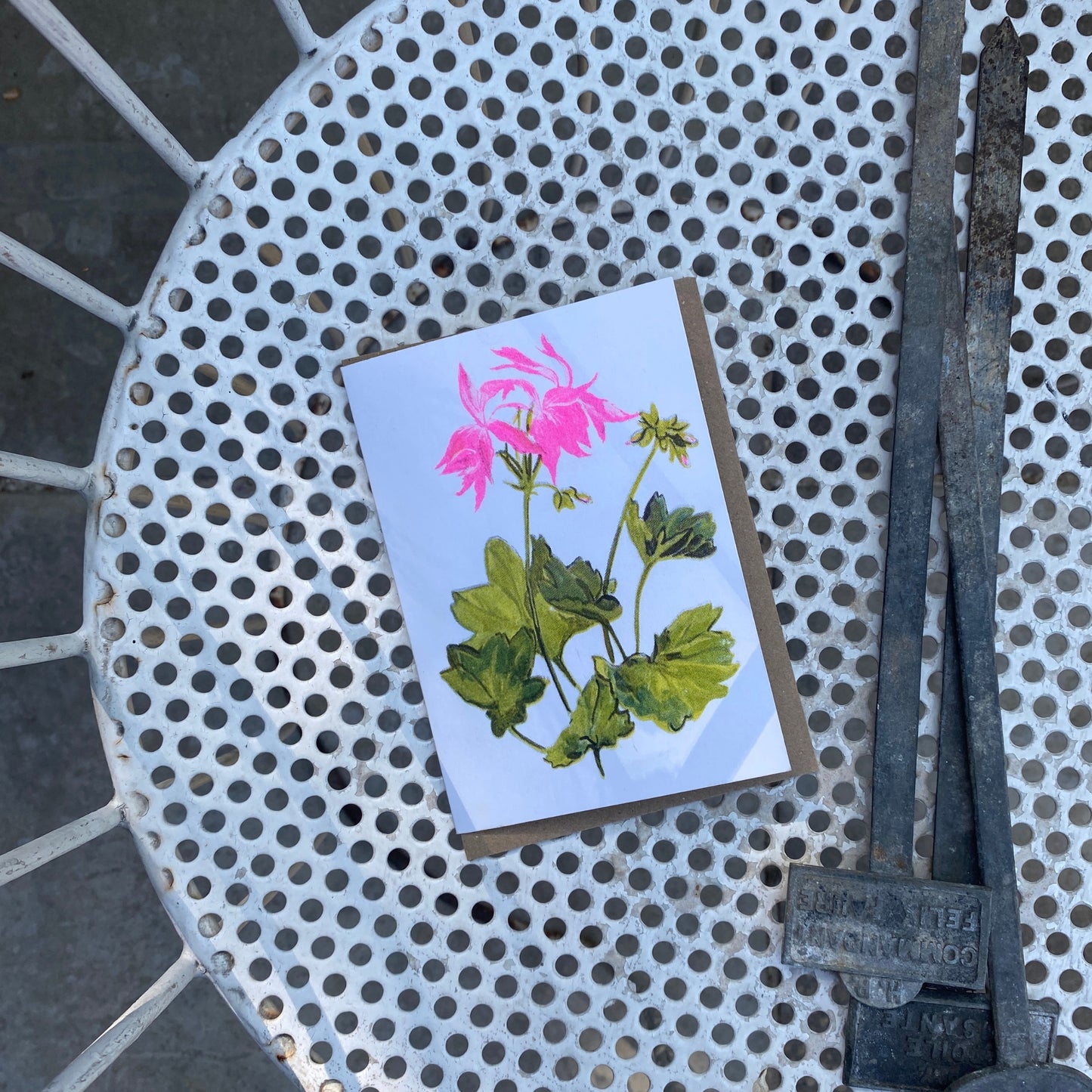 Pink Geranium Full Bloom Floral Greeting Card
