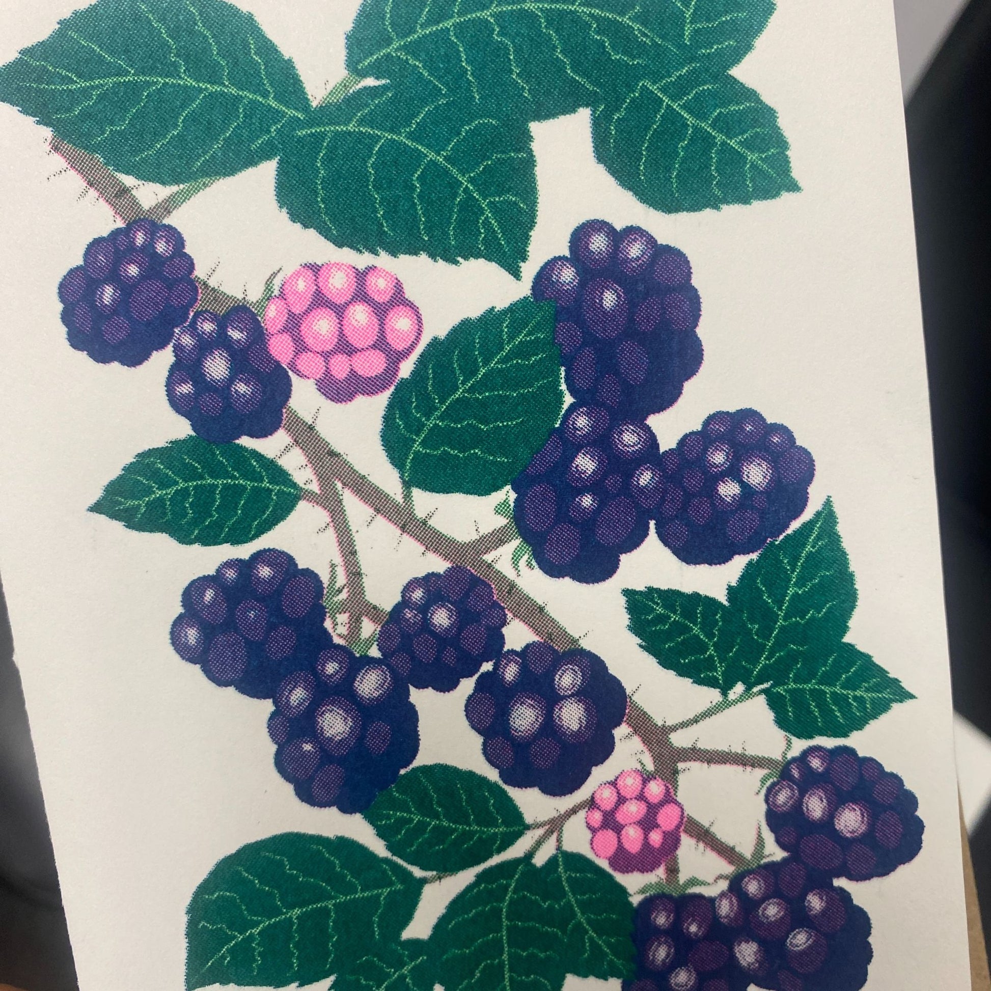 Close up of Blackberries eco riso print greeting card by Petra Boase.
