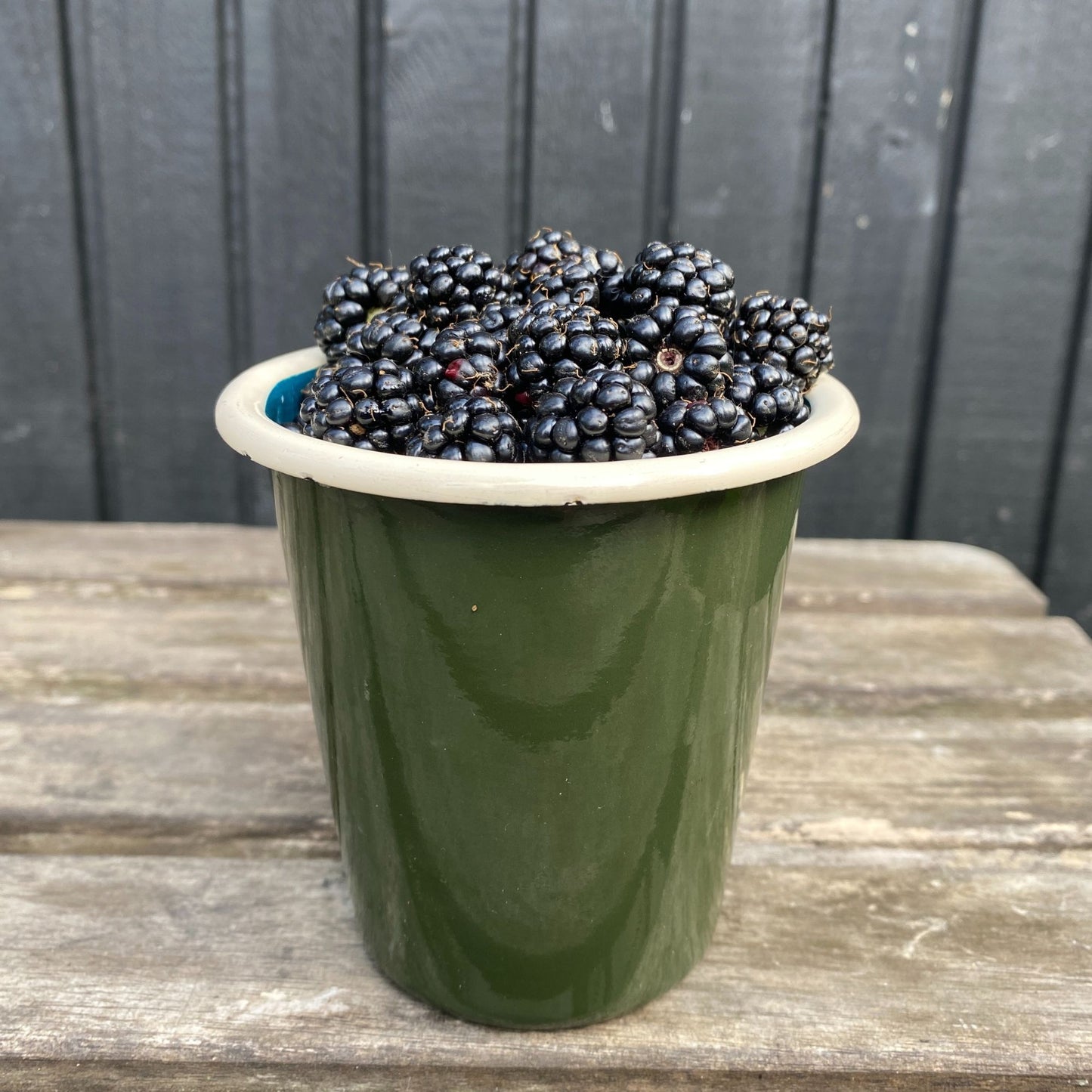 Blackberry Riso Print Greeting Card