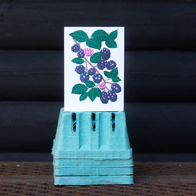 Blackberry illustrated greeting card