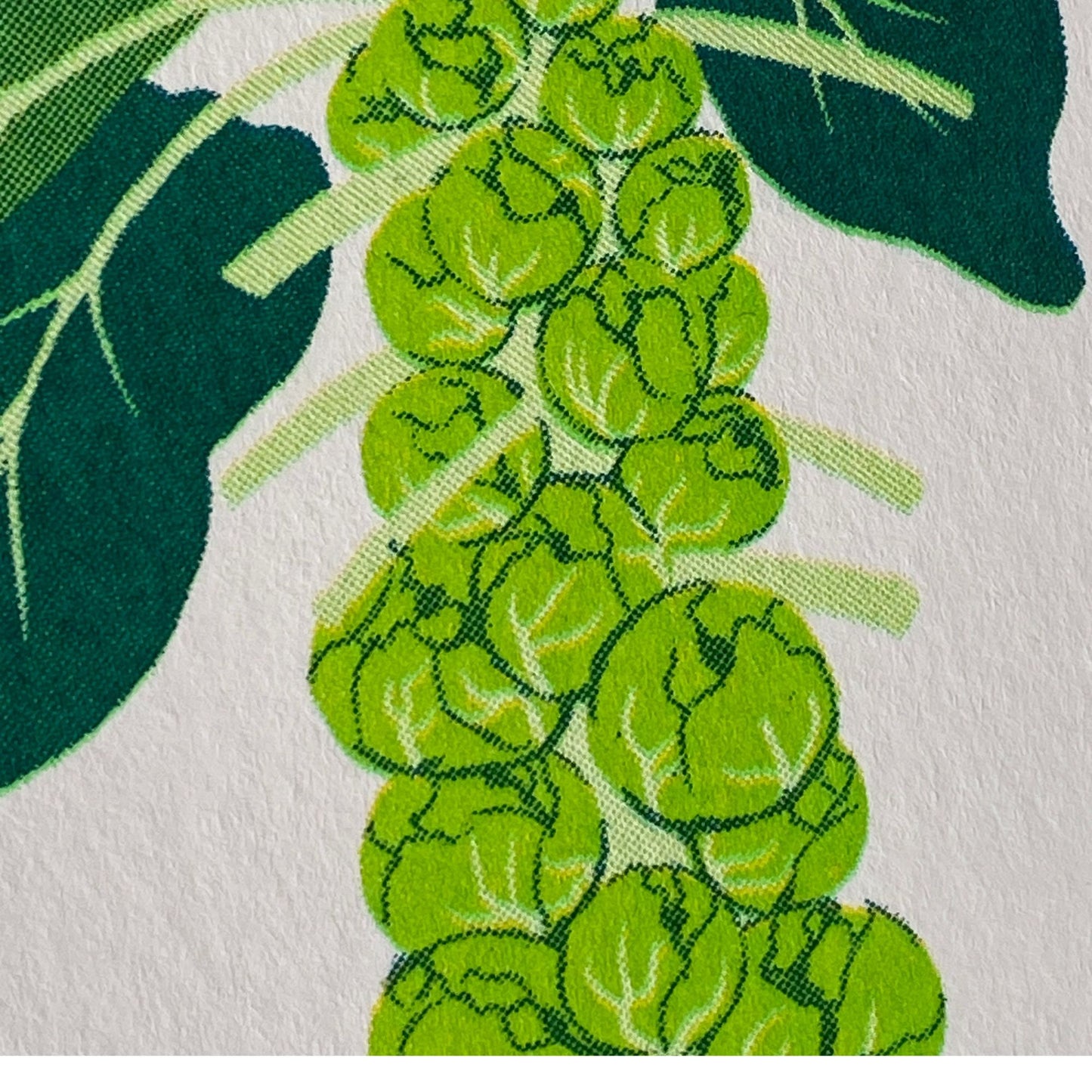 Brussels Sprouts Risograph Eco Print Greeting Card