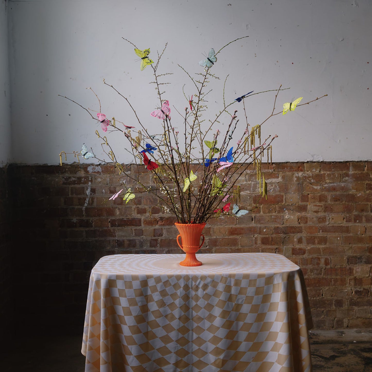 Set of 5 Colourful Feather Bird Clip Decorations