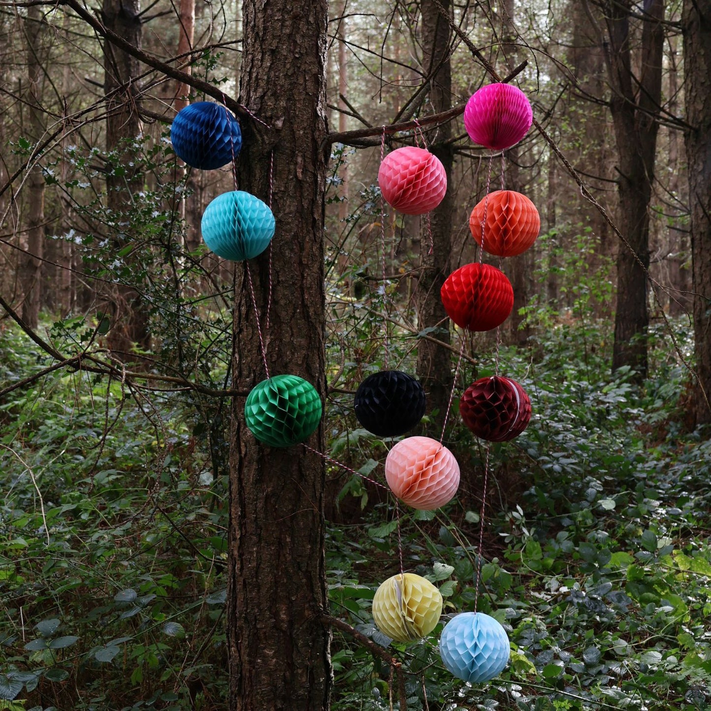 Colourful eco paper ball garland in forest | Petra Boase