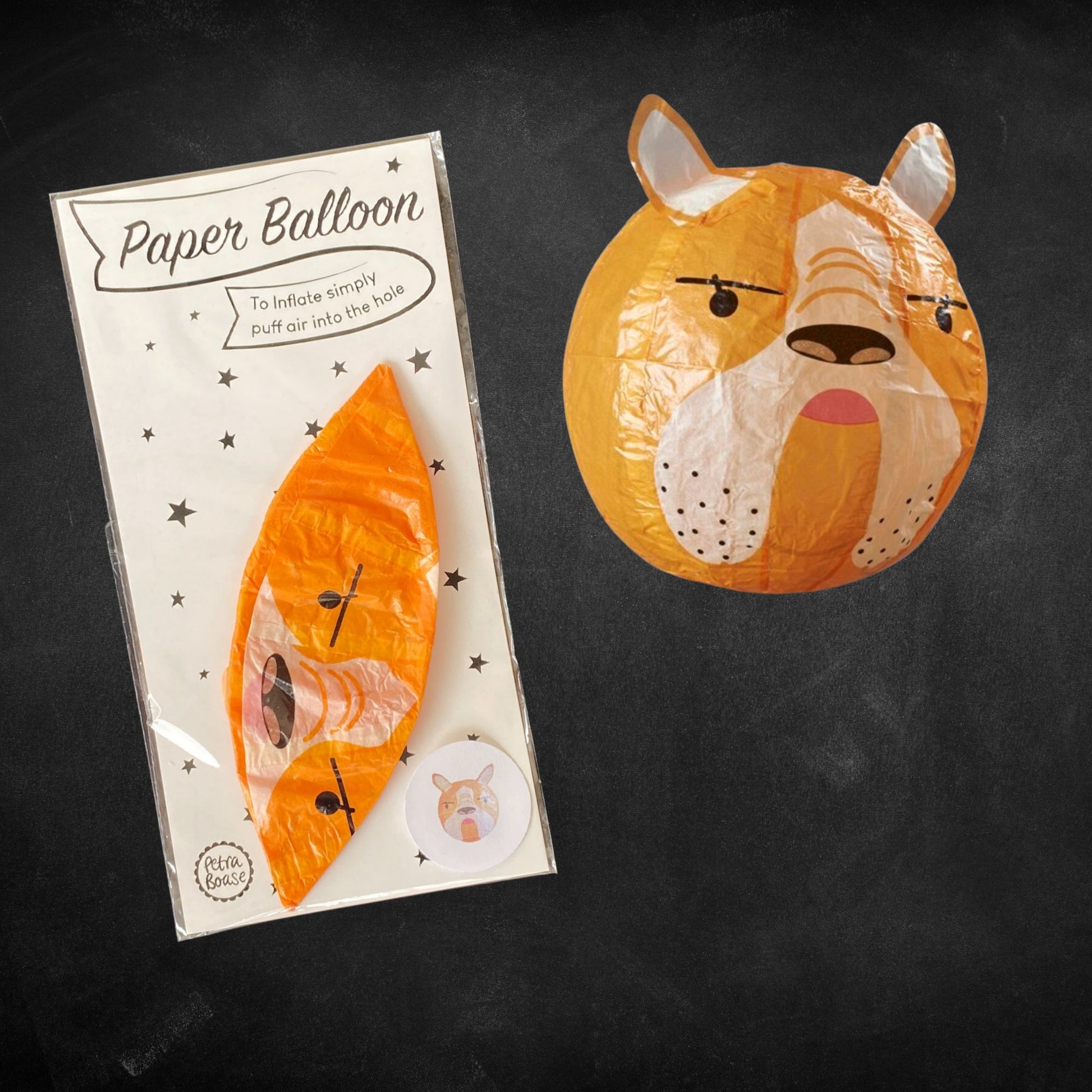 Eco Dog_Japanese_paper_balloon Gift| Petra Boase