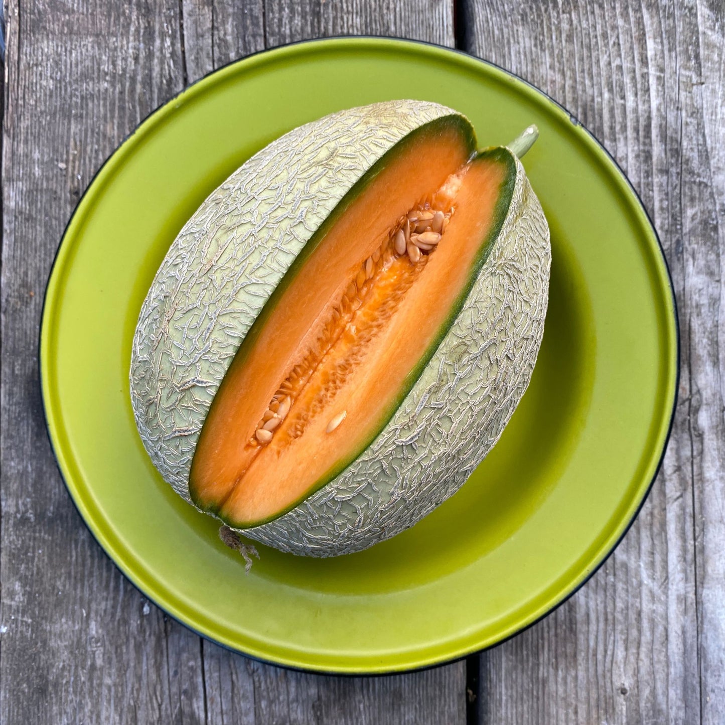 Melon Risograph Print Greeting Card