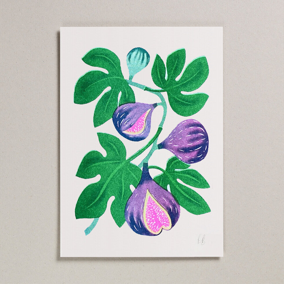 Fig_Risograph_A4_Print| Petra Boase