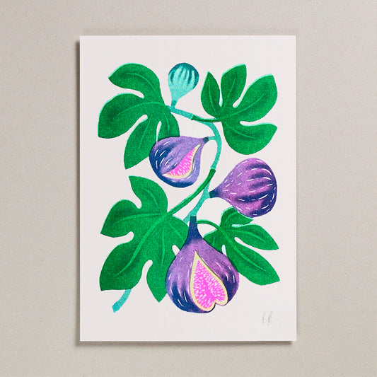 Fig_Risograph_A4_Print| Petra Boase