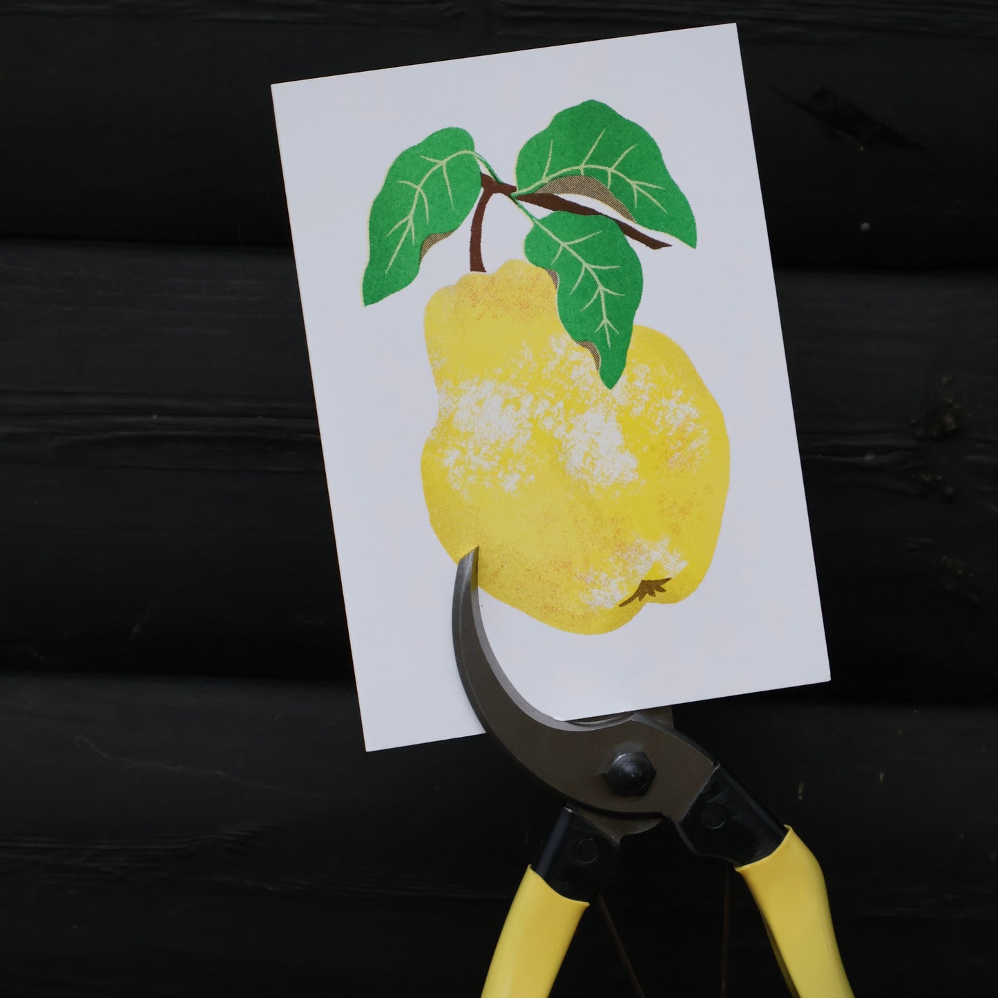 Grow Greeting card- Quince