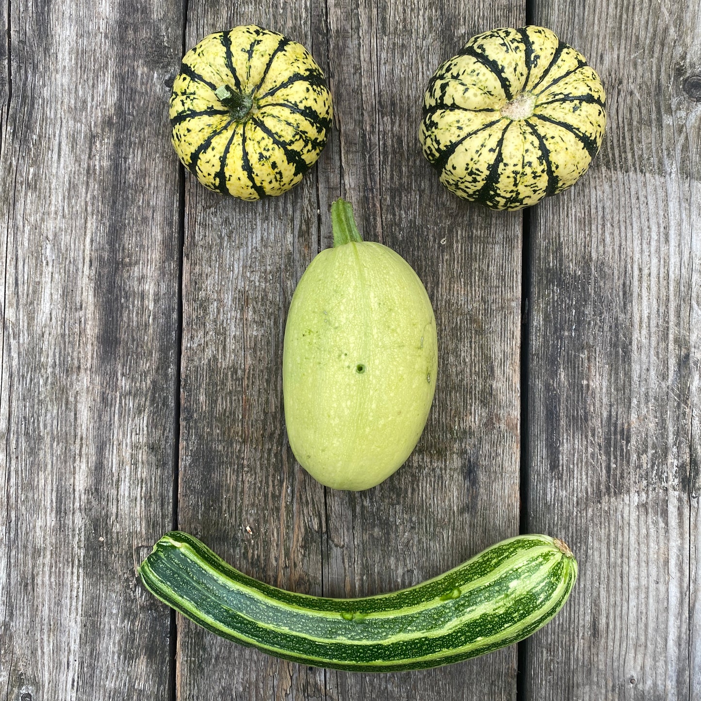 Grow Greeting card- Courgette