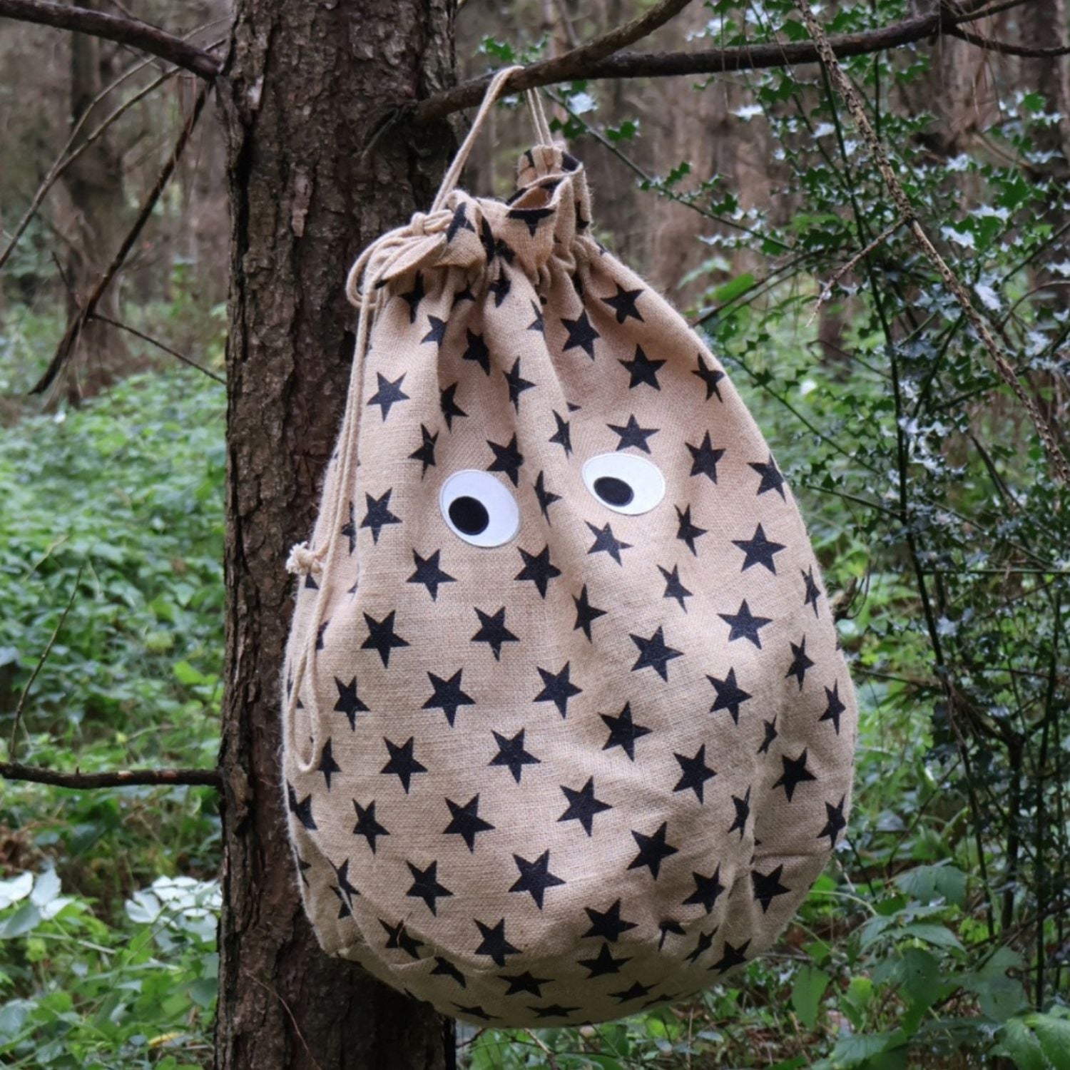 Petra Boase | Christmas Googly Eye Present Sack