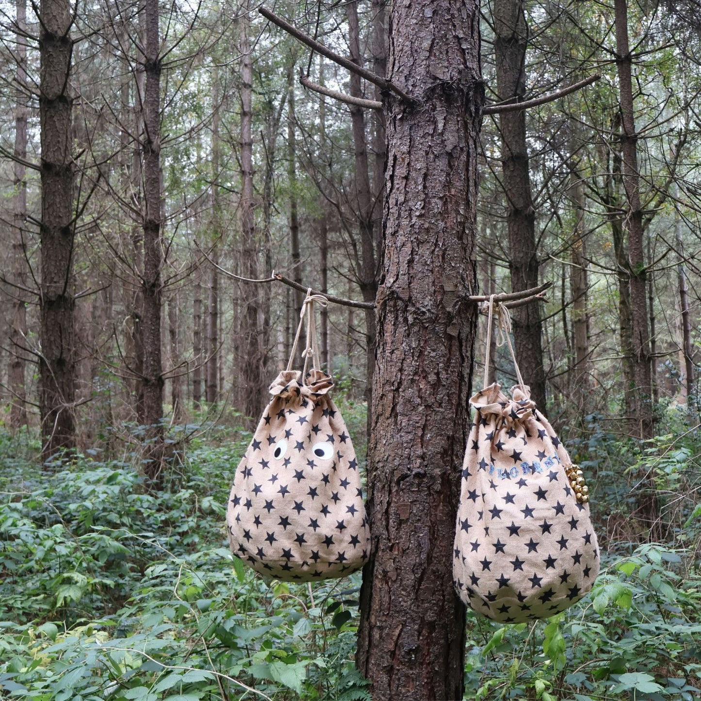 Petra Boase Christmas Star Present Sacks In a Forest