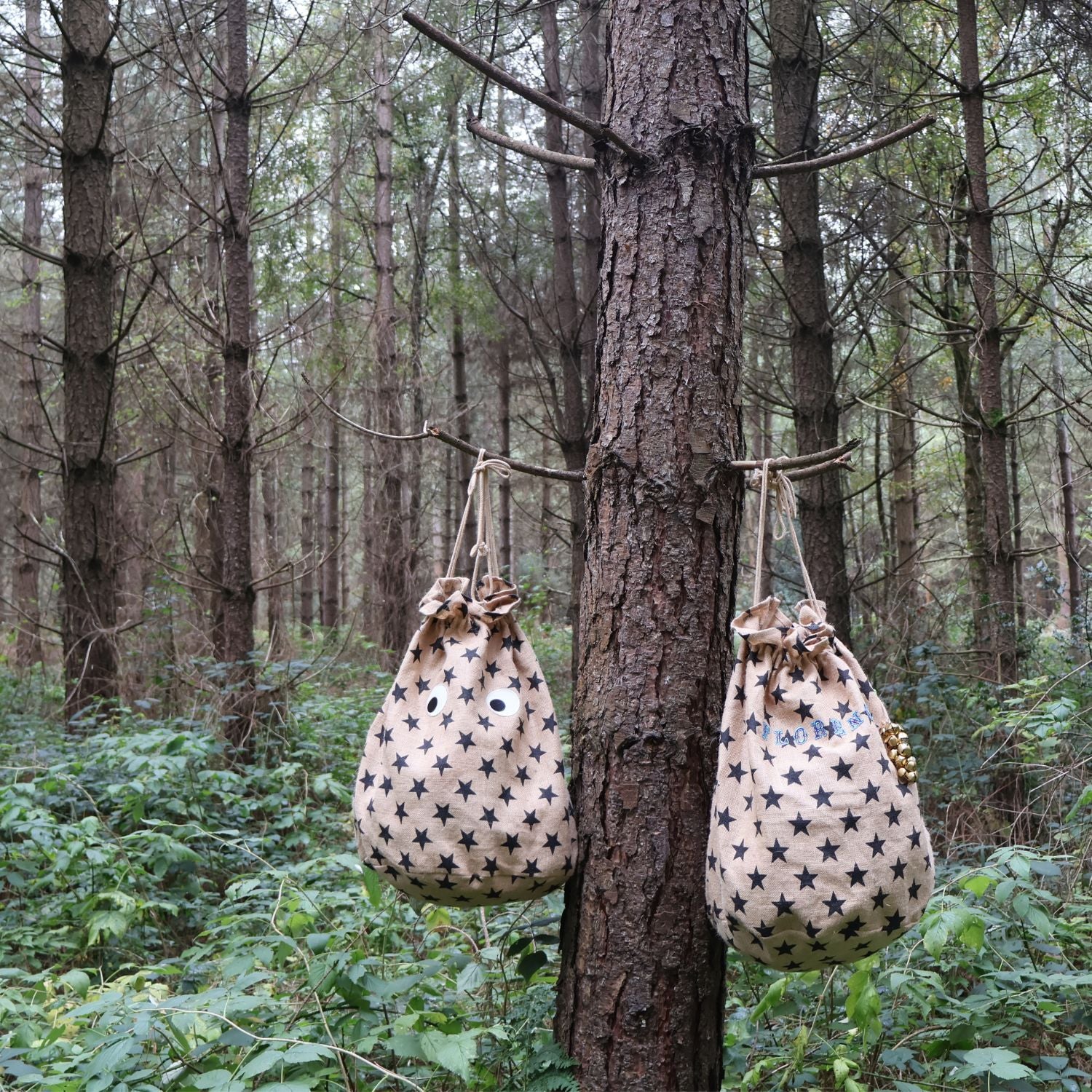Petra Boase Christmas Star Present Sacks In a Forest