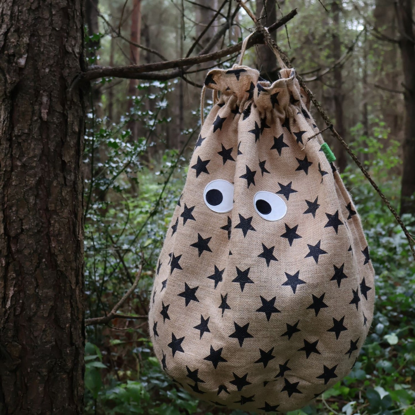 Petra Boase | Googly Eye Star Christmas Gift Sack