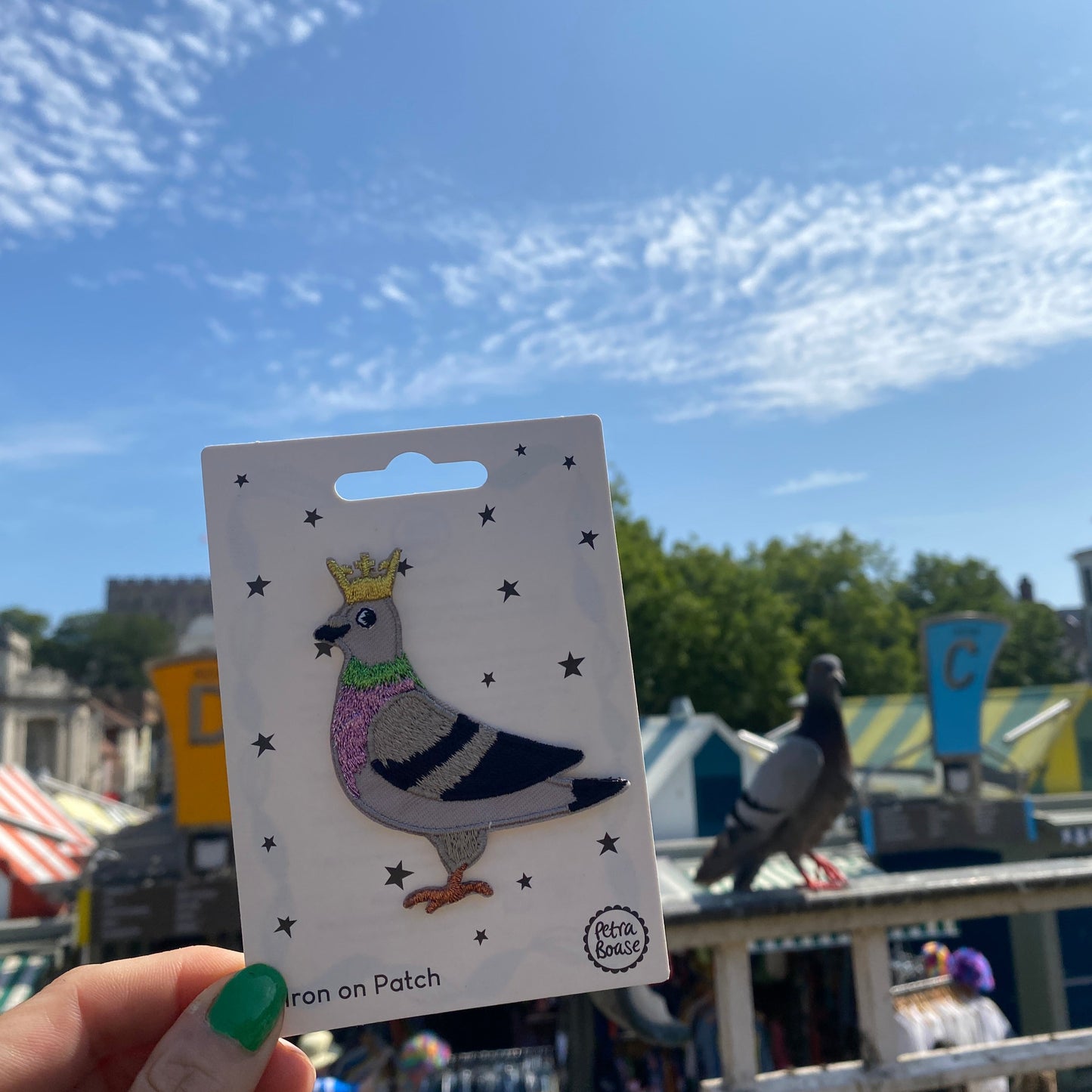 Petra Boase Pigeon  iron on patch design held up against a blue sky 