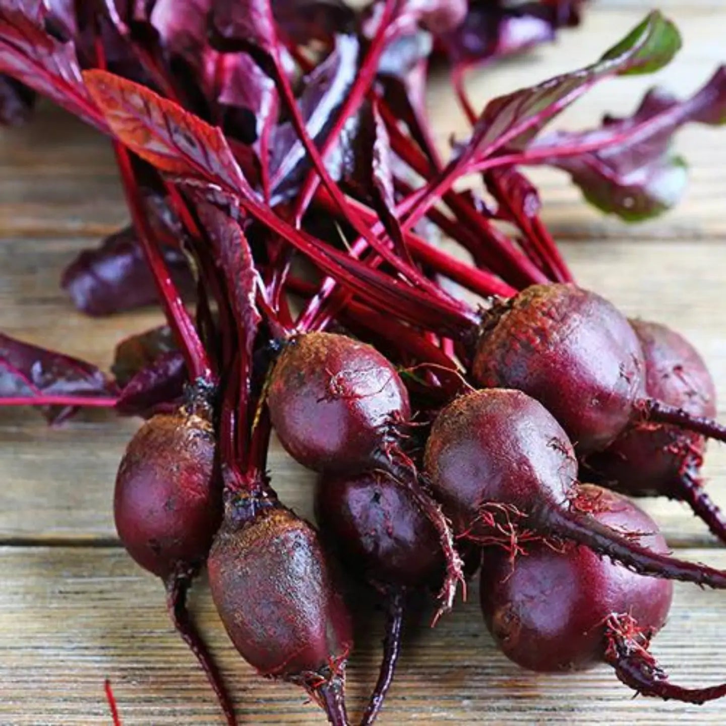Bulls Blood Beetroot Seeds | Piccolo