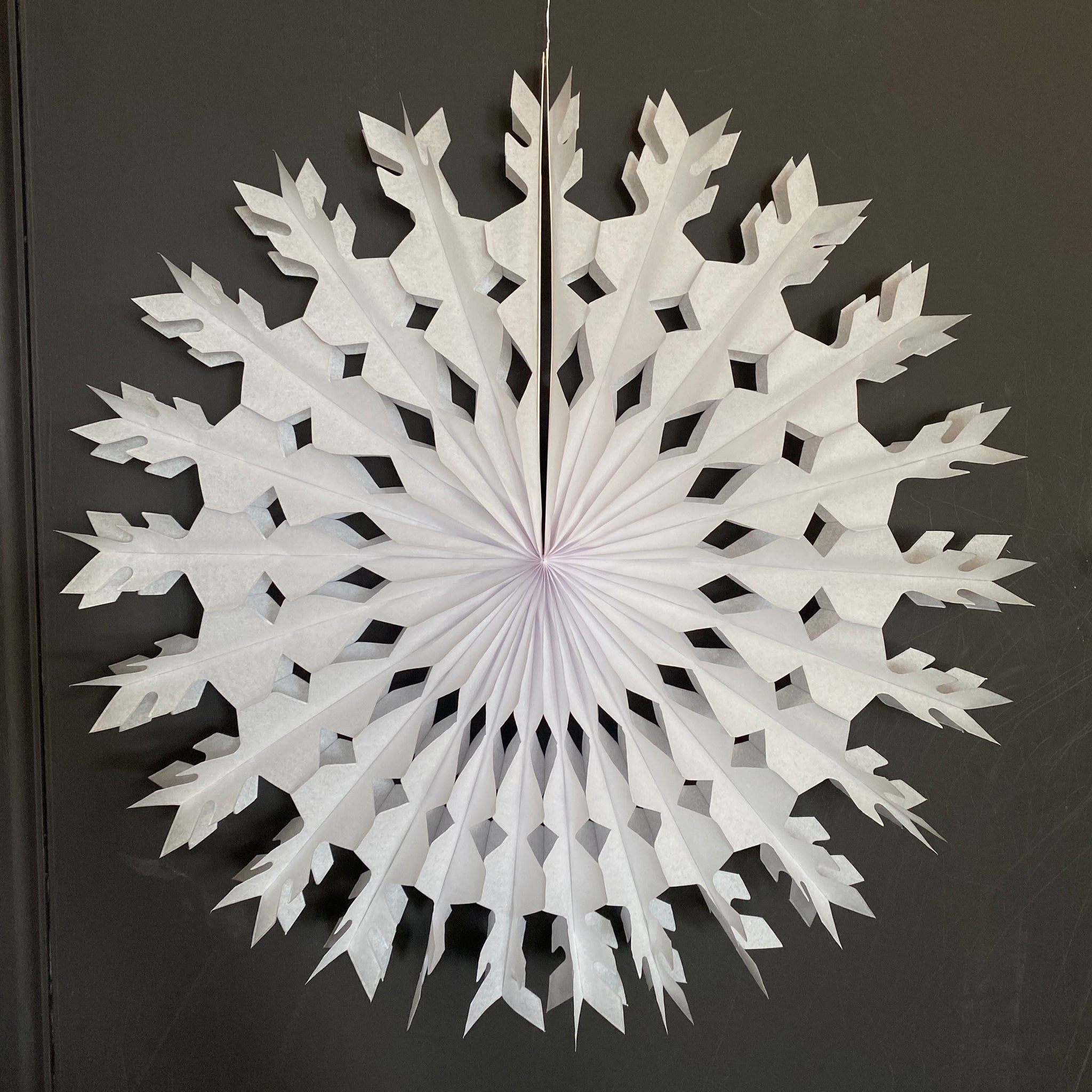 Paper Fan - Large Feather