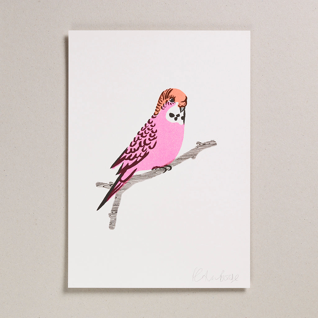 Risograph Print (A4) - Pink Budgie